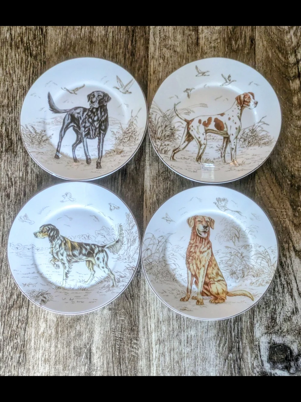 Williams Sonoma Plymouth Hunting Dogs Salad Plates 7